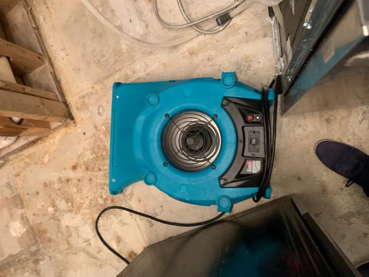Air mover drying equipment for Mold Remediation & Removal in Westwood