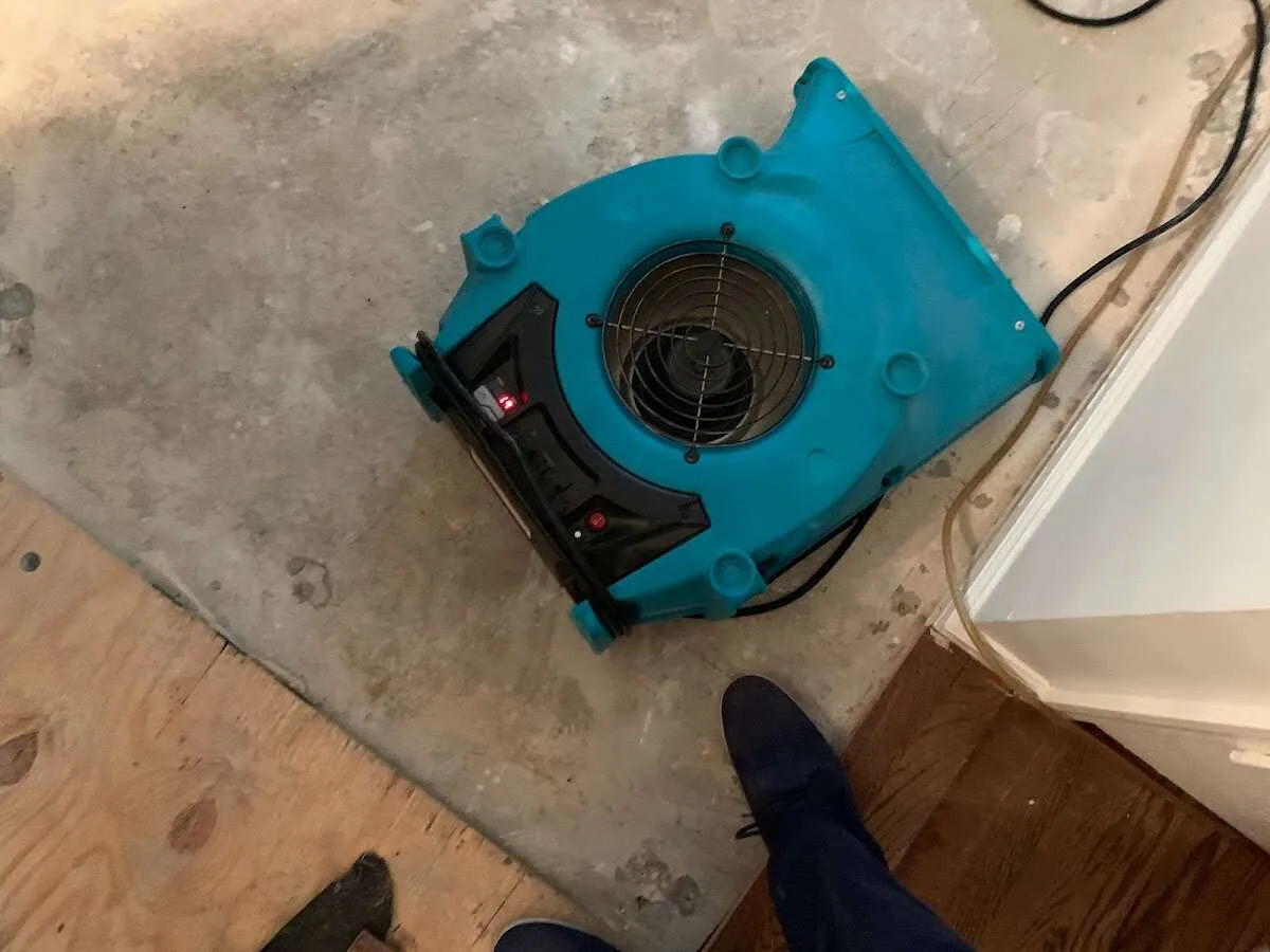 Air mover drying subfloor during Leak Detection & Repair in Westwood